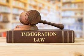 Finding the Best Immigration Lawyers: Your Pathway to Success